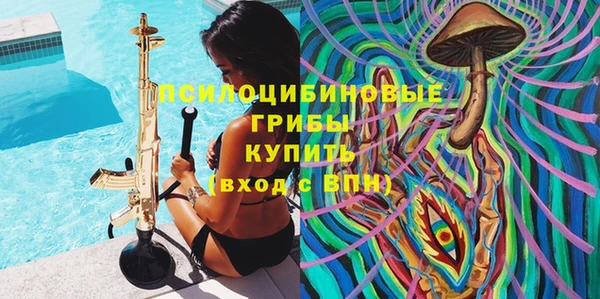 ECSTASY Кодинск