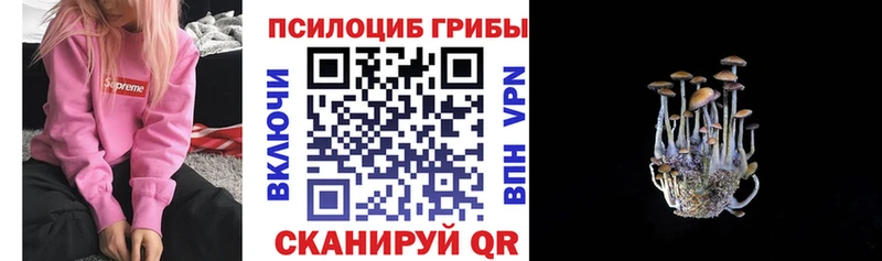 Псилоцибиновые грибы ЛСД  Шилка 