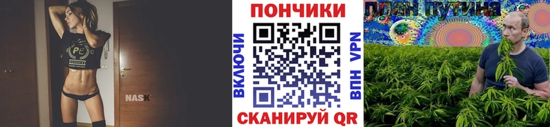 Бошки марихуана тримм  купить   Шилка 